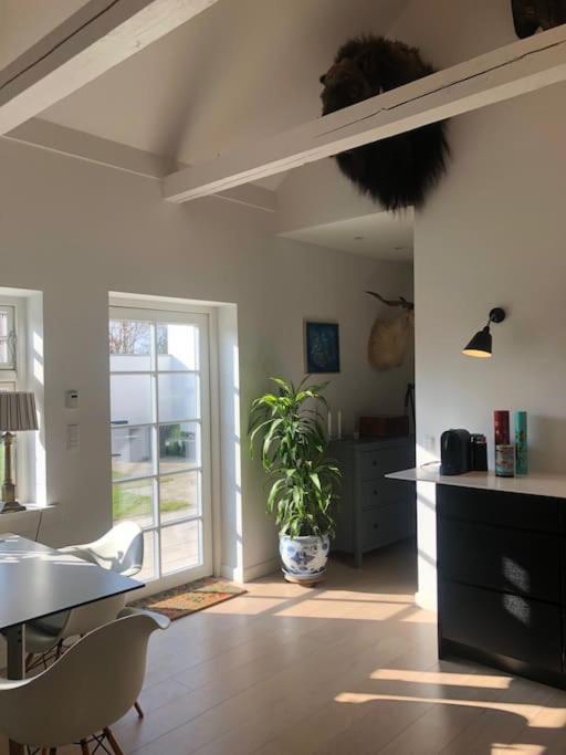 Cozy, Quiet Guest House Perfect For Business Or Pleasure Hillerød Exterior foto