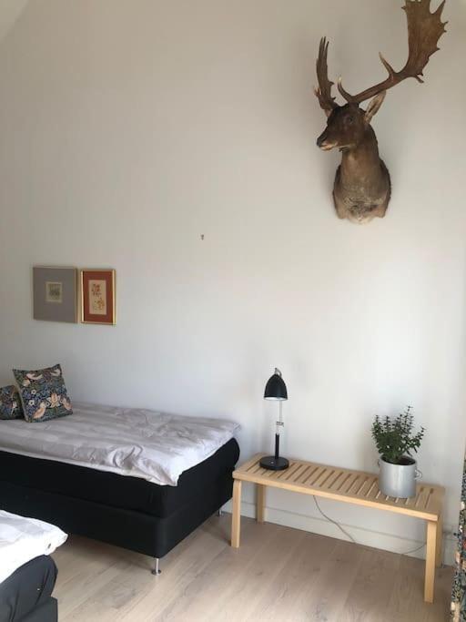Cozy, Quiet Guest House Perfect For Business Or Pleasure Hillerød Exterior foto