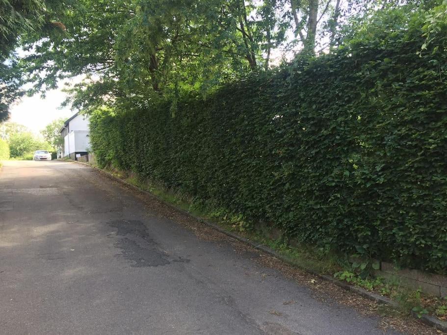 Cozy, Quiet Guest House Perfect For Business Or Pleasure Hillerød Exterior foto